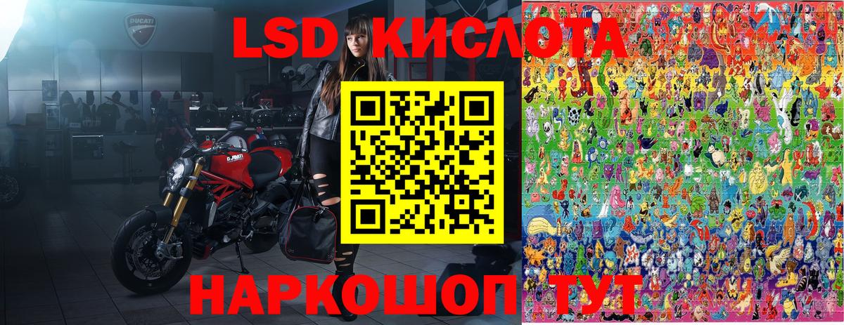 Марки 25I-NBOMe 1,8мг Лесной