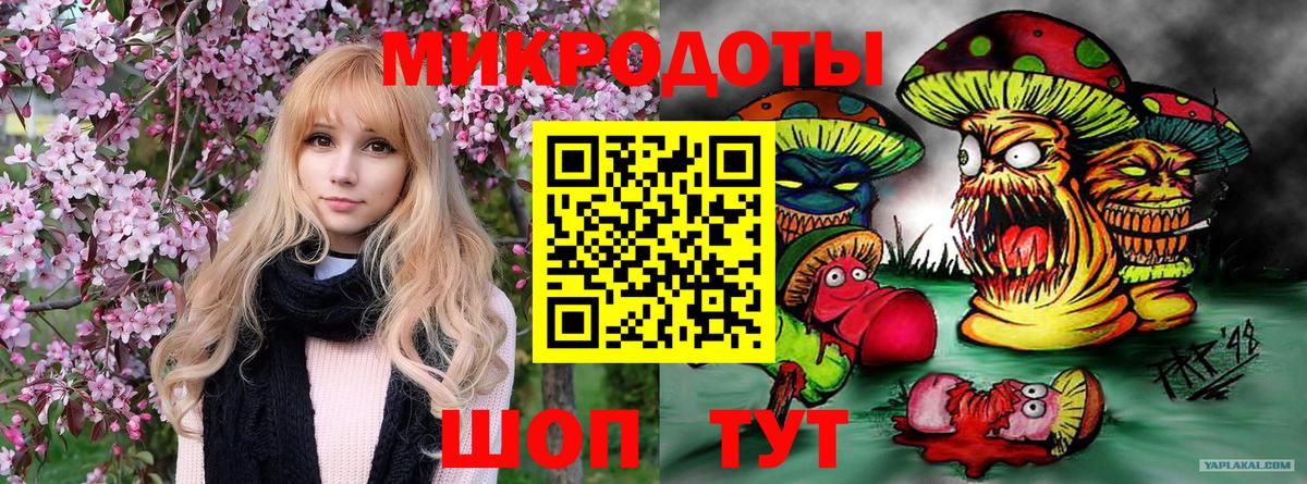 Галлюциногенные грибы мицелий Лесной