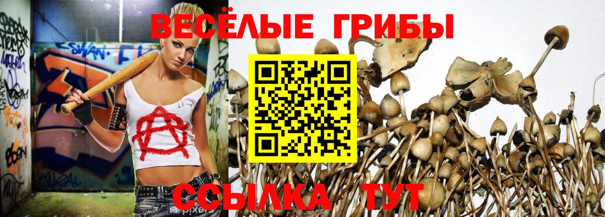 Галлюциногенные грибы MAGIC MUSHROOMS  Вход с VPN  купить   Лесной  Псилоцибиновые грибы прущие грибы 